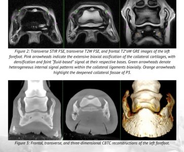 IMG_4973.jpeg IMG_4973.jpeg