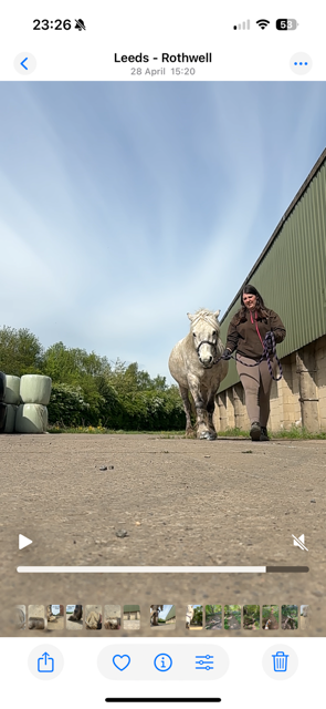 IMG_4972.png IMG_4972.png