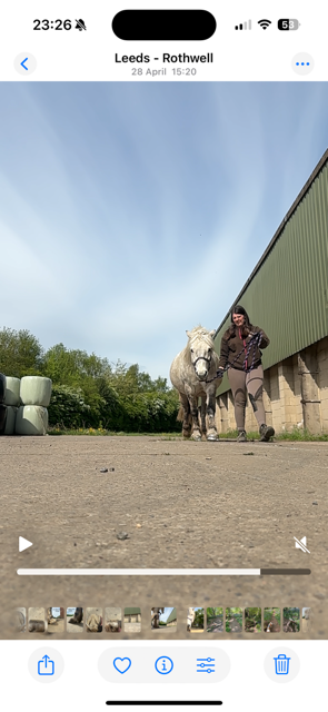 IMG_4971.png IMG_4971.png