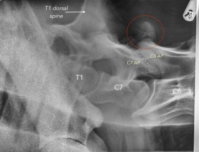 IMG_4961.jpeg IMG_4961.jpeg