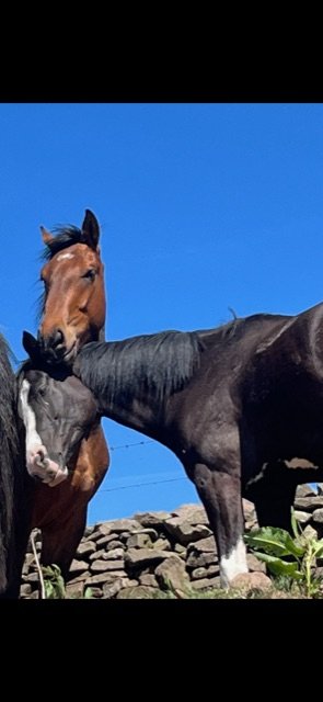 2FA7BDD8-0A5E-4A4F-A888-9CB21903E2C6.jpeg 2FA7BDD8-0A5E-4A4F-A888-9CB21903E2C6.jpeg