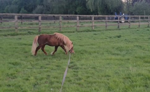 Screenshot_20250509_205534_Gallery.jpg Screenshot_20250509_205534_Gallery.jpg