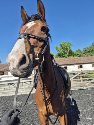 20250509_211441.jpg 20250509_211441.jpg