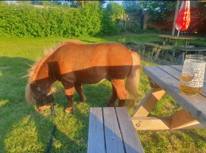 Screenshot_20250510_191419_Gallery.jpg Screenshot_20250510_191419_Gallery.jpg