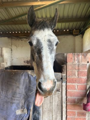 IMG_1459.jpeg IMG_1459.jpeg