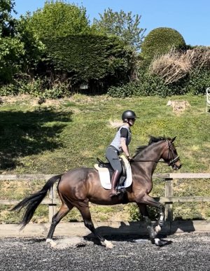 IMG_7036.jpeg IMG_7036.jpeg