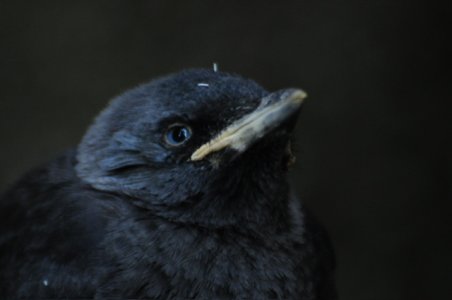 DSC_6228.jpeg DSC_6228.jpeg