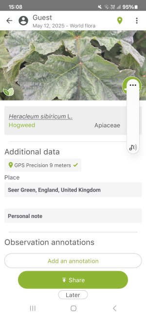 Screenshot_20250512_150835_PlantNet[1].jpg