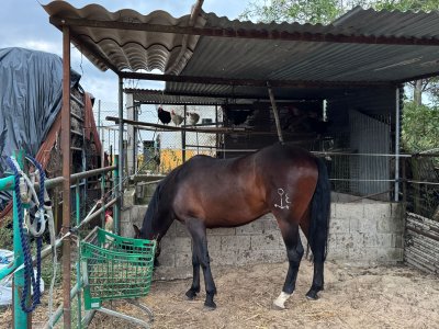 WhatsApp Image 2025-05-12 at 15.40.32.jpeg