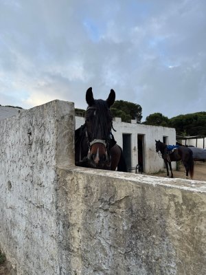 WhatsApp Image 2025-05-12 at 15.40.321.jpeg