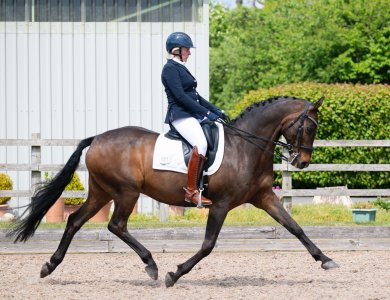 WhatsApp Image 2025-05-12 at 15.40.494.jpeg