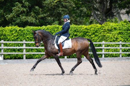 WhatsApp Image 2025-05-12 at 15.40.495.jpeg