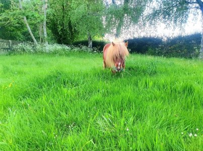 Screenshot_20250512_185011_Gallery.jpg Screenshot_20250512_185011_Gallery.jpg