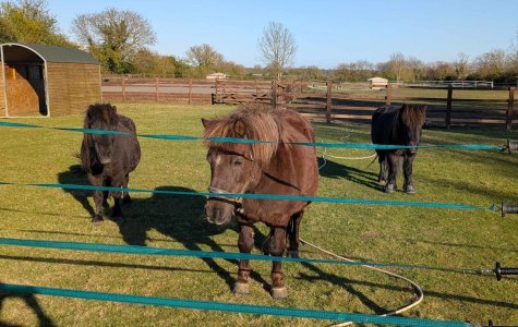 1000018350.jpg 1000018350.jpg