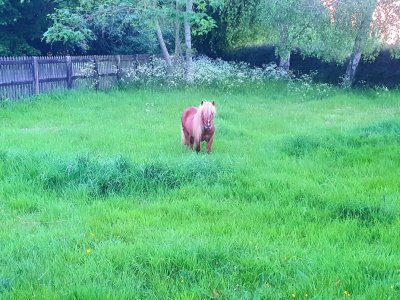 Screenshot_20250512_204256_Gallery.jpg Screenshot_20250512_204256_Gallery.jpg