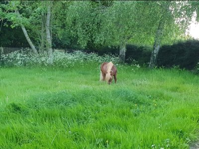 Screenshot_20250512_204234_Gallery.jpg Screenshot_20250512_204234_Gallery.jpg