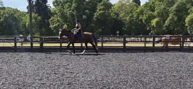 Screenshot_20250513_104554_Video Player.jpg