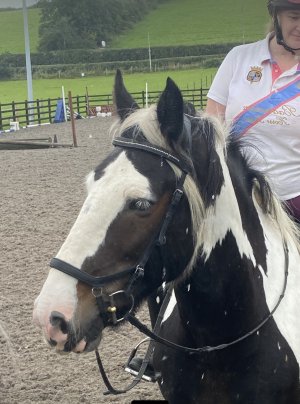 IMG_8535.jpeg IMG_8535.jpeg