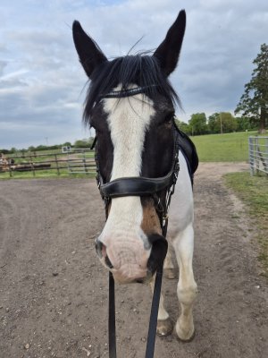 20250514_082324.jpg 20250514_082324.jpg