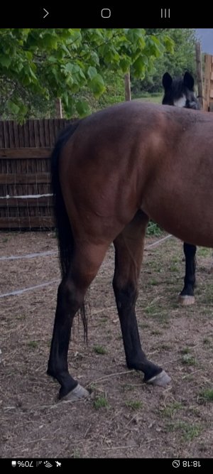 Screenshot_20250514_181817_Samsung Internet.jpg Screenshot_20250514_181817_Samsung Internet.jpg