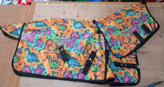 IMG_5799.jpeg IMG_5799.jpeg