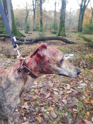 Messenger_creation_7137748845473006496.jpeg Messenger_creation_7137748845473006496.jpeg