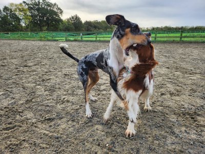 462683452_10163466410800730_7419962057225567681_n.jpg 462683452_10163466410800730_7419962057225567681_n.jpg