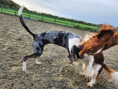 462192344_10163466410860730_4534998674896181037_n.jpg 462192344_10163466410860730_4534998674896181037_n.jpg