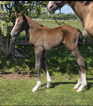 1000015881.jpg 1000015881.jpg