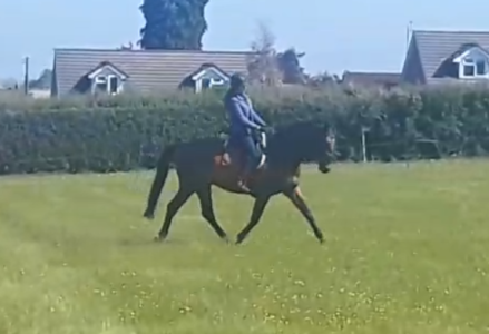 Screenshot_20250517-193412.png Screenshot_20250517-193412.png