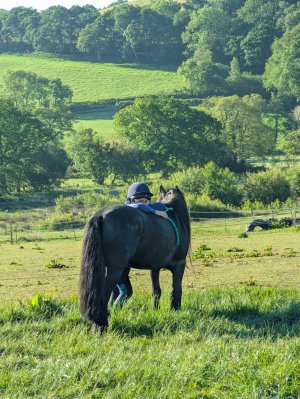 IMG-20250518-WA0001.jpg IMG-20250518-WA0001.jpg