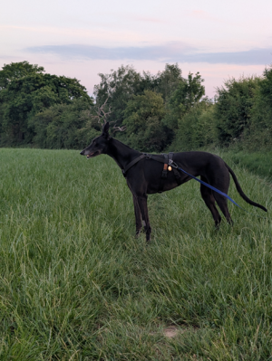 1747599862652.png 1747599862652.png