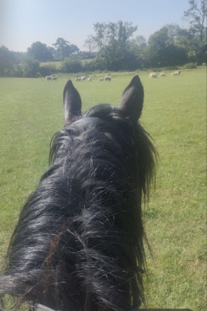 Screenshot_2025-05-19-10-19-21-56_99c04817c0de5652397fc8b56c3b3817.jpg Screenshot_2025-05-19-10-19-21-56_99c04817c0de5652397fc8b56c3b3817.jpg