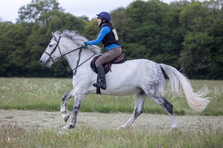 52a1093d-03bf-41e9-9482-6ebdcbe2c3ca.jpg 52a1093d-03bf-41e9-9482-6ebdcbe2c3ca.jpg