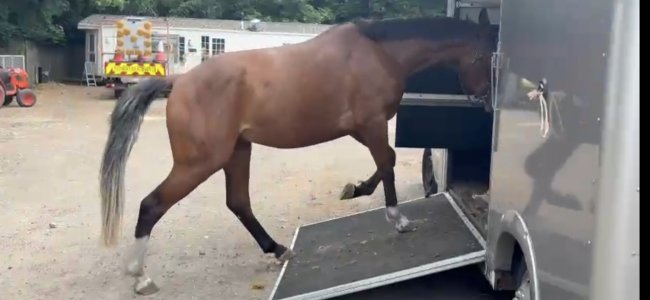 Screenshot_20250519_134529_Gallery.jpg Screenshot_20250519_134529_Gallery.jpg