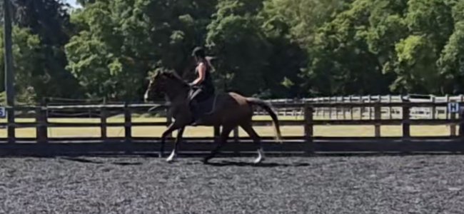 Screenshot_20250519_135114_Gallery.jpg Screenshot_20250519_135114_Gallery.jpg