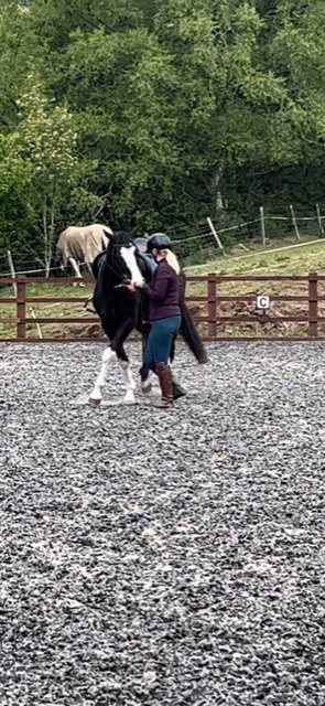 126C15C9-5DC0-459F-B311-20A54B83ABEC.jpeg 126C15C9-5DC0-459F-B311-20A54B83ABEC.jpeg