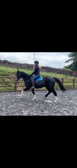 2BBFCD2F-3C32-42CB-B337-35F878F4855E.jpeg 2BBFCD2F-3C32-42CB-B337-35F878F4855E.jpeg