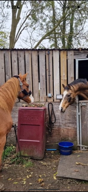 180659E5-3AAC-47B9-8455-2DA11CE0B484.jpeg 180659E5-3AAC-47B9-8455-2DA11CE0B484.jpeg