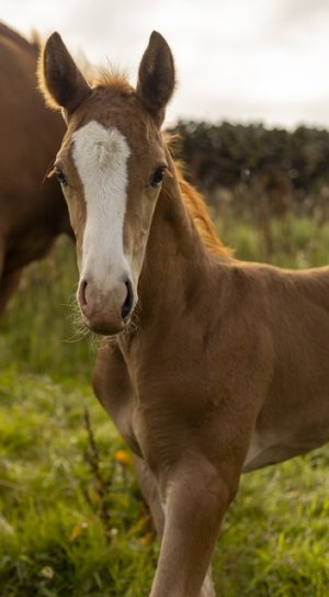 FCE2D312-FE75-43CA-AB5A-30C2435FF29A.jpeg FCE2D312-FE75-43CA-AB5A-30C2435FF29A.jpeg