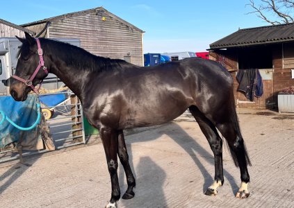 IMG_8761.jpeg IMG_8761.jpeg