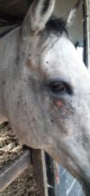 20230908_151049.jpg  resize.jpg