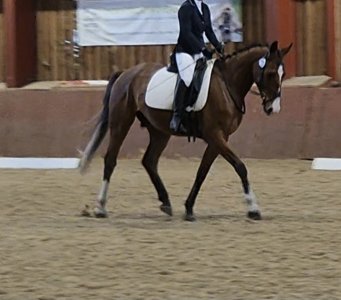 Screenshot_20250521_210513_Video Player.jpg Screenshot_20250521_210513_Video Player.jpg