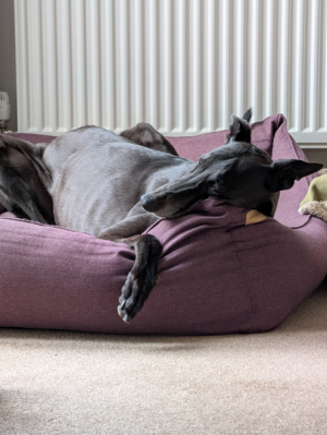 1748006055769.png 1748006055769.png