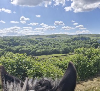 20250523_105258.jpg 20250523_105258.jpg