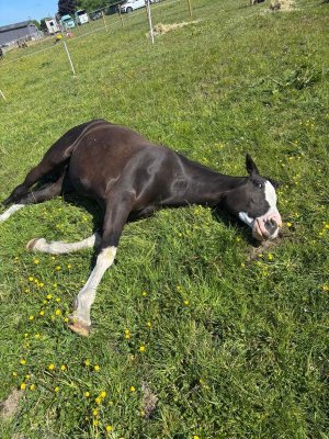 0a894ee4-a12f-47e7-82a7-9c9a90f8d5c4.JPG 0a894ee4-a12f-47e7-82a7-9c9a90f8d5c4.JPG