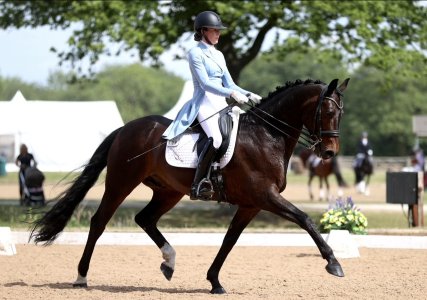 IMG_0880.jpeg IMG_0880.jpeg