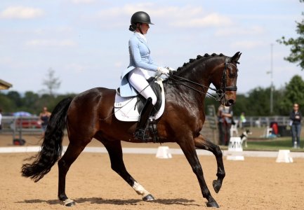 IMG_0879.jpeg IMG_0879.jpeg