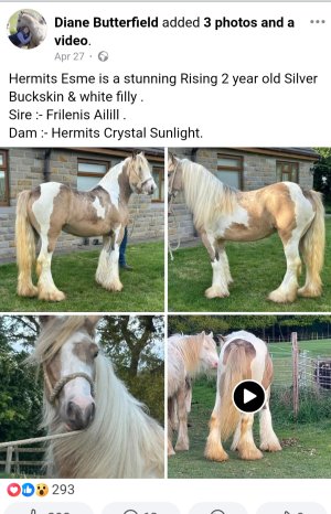 Screenshot_20250524_153024_Samsung Internet.jpg