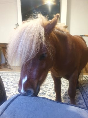 Screenshot_20250524_204501_Gallery.jpg Screenshot_20250524_204501_Gallery.jpg